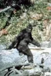 Photo Bigfoot #418808