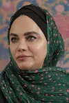 Photo Narges Abyar #453268