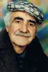 Photo Nematollah Gorji #448277