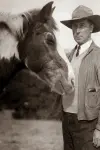 Photo Fritz the Horse #480512