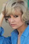 Photo Barbara Bold #377017