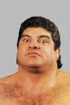 Photo Don Muraco #398654