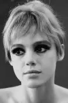 Photo Edie Sedgwick #407830