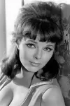Photo Anne Helm #397939