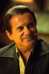 Photo Joe Pesci #25051
