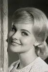 Photo Diane McBain #278911