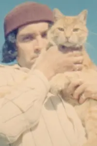 Photo Sebastian Vaccaris #331765