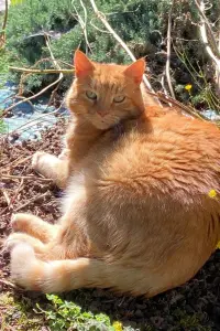 Photo Cleo Wachowiak #436220