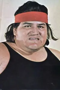 Photo Bull Ramos