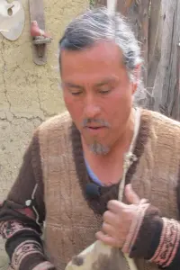 Photo Victor Vilcahuaman #445888