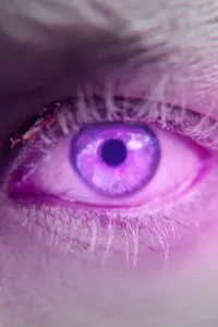 Photo Lucy Murfitt #282483