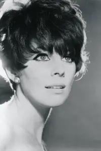 Photo Elizabeth Knowles #515841