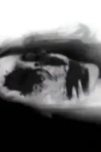 Photo Cinderella Valentine #510906