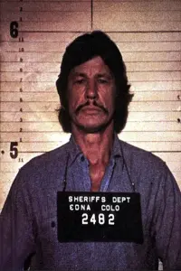 Photo Bronson Brothers #299748