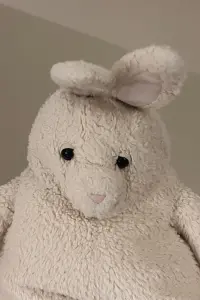 Photo Parsnip #385392