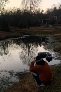 Photo Constanzo Gili #346435