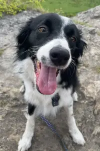 Photo Freddie Johnson #506353