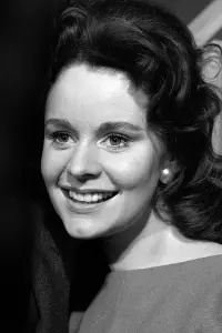 Photo Christina Gregg #504246