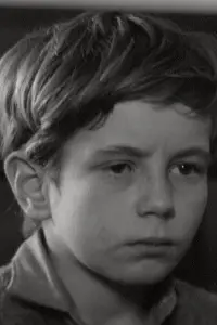 Photo Stephen Archibald #506854