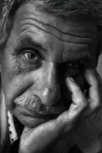 Photo Vasyl Trushkovskyi #511994