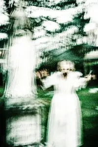 Photo Baby Moonbird #451834