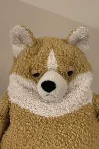 Photo Pickle #385391