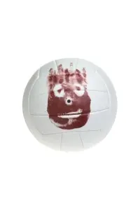 Photo Wilson the Volleyball