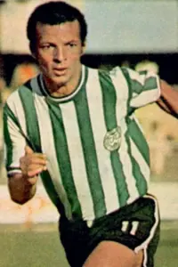 Photo Aladim Luciano #452066