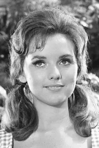 Photo Dawn Wells #341205