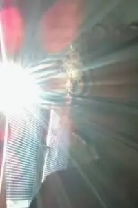 Photo Antonio Dimovski #489103