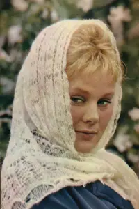 Photo Svetlana Zhgun #511527