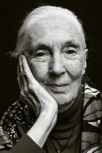 Photo Jane Goodall