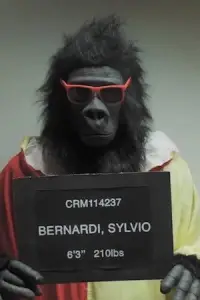 Photo Sylvio Bernardi #390061