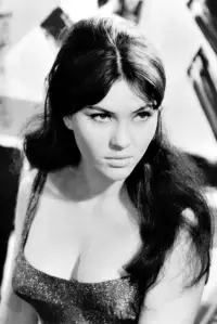 Photo Ildikó Pécsi #510371