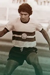 Photo Walter Ferraz de Negreiros #452064