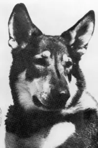 Photo London #504092