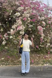 Photo Chitpon Paengwiengjan #522746