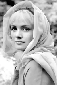 Photo Sarah Branch #516048