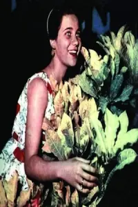 Photo Zubaida Tharwat