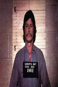 Photo Bronson Brothers #299749