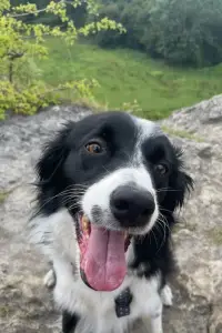 Photo Freddie Johnson #506354