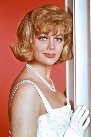 Photo Dorothy Malone #80517