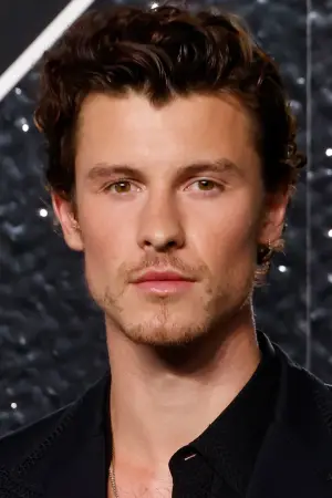 Photo Shawn Mendes #333768