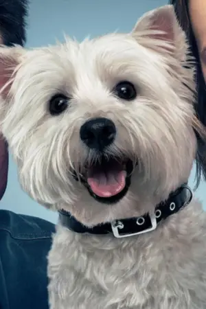 Photo Olivia #380648