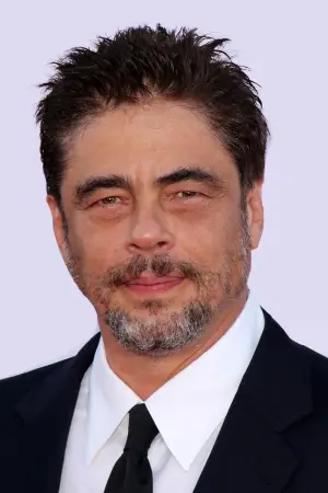 Photo Benicio del Toro #6488