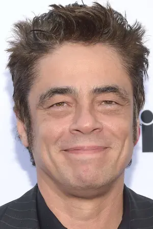 Photo Benicio del Toro #6492