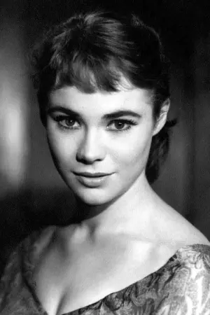 Photo Heather Sears #279932