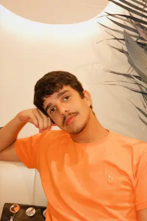 Photo Heron Condor #337746