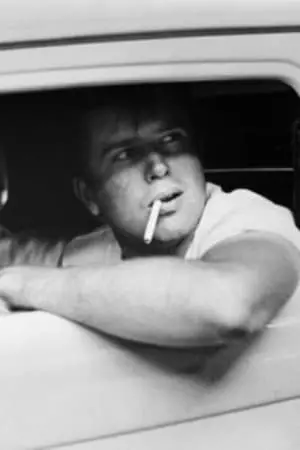 Photo Paul Le Mat #94599