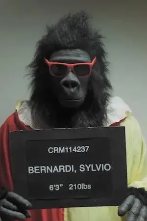 Photo Sylvio Bernardi #390061